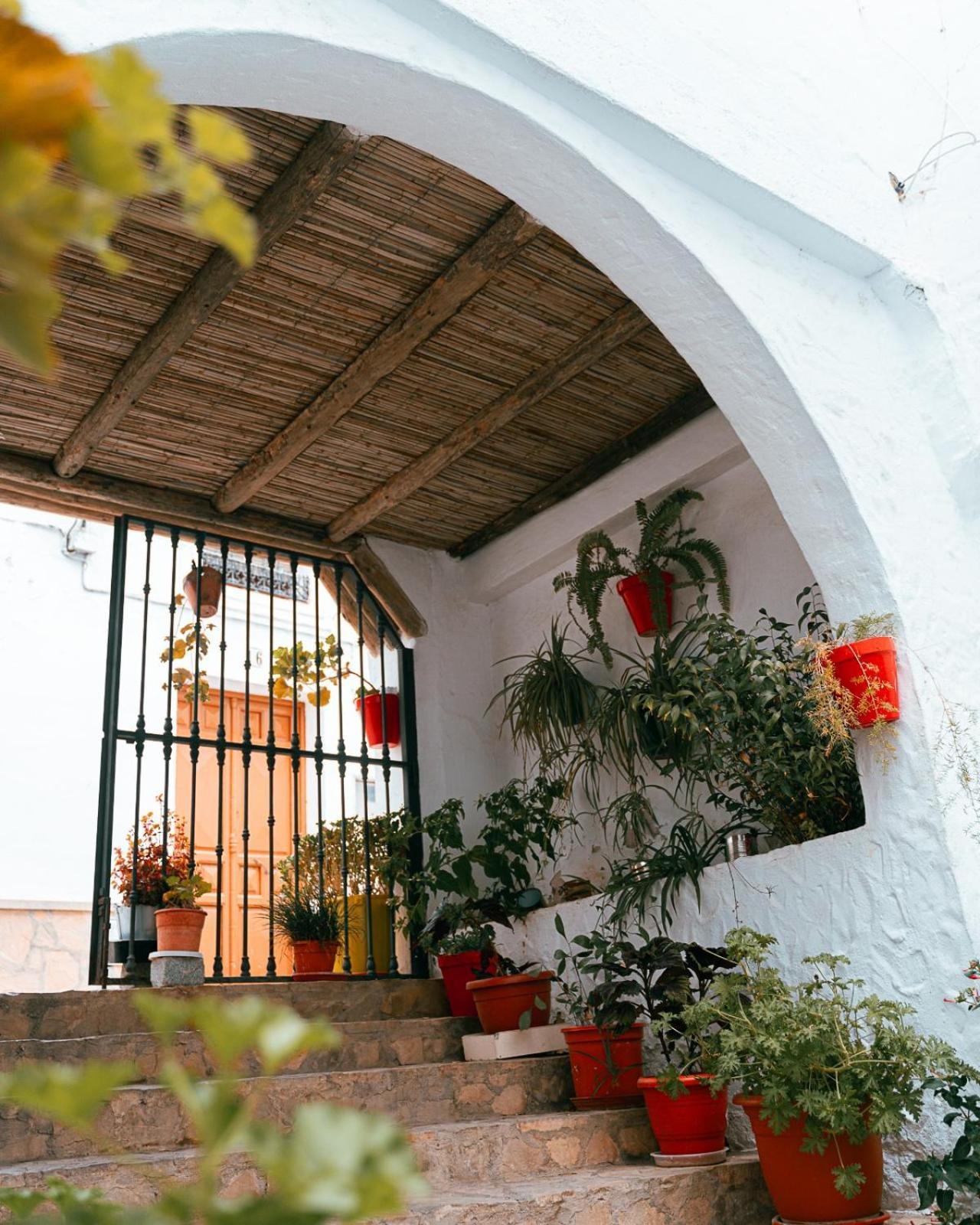 Salati El Gastor Exterior foto